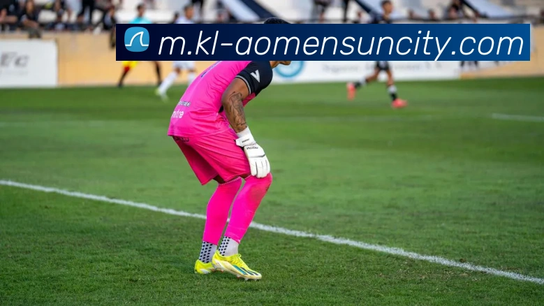 太阳城网站APP 封面图